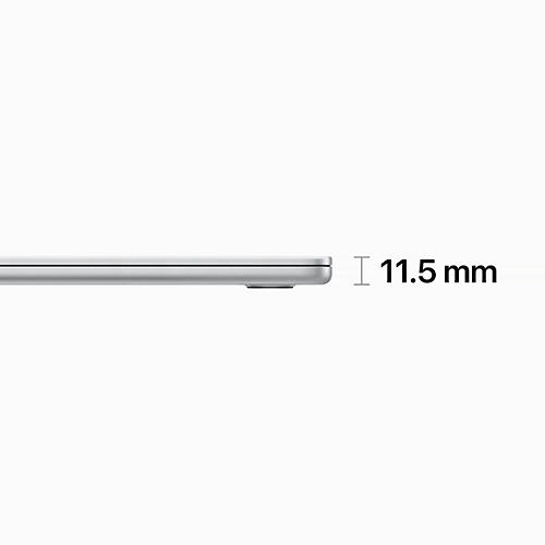 Apple 15