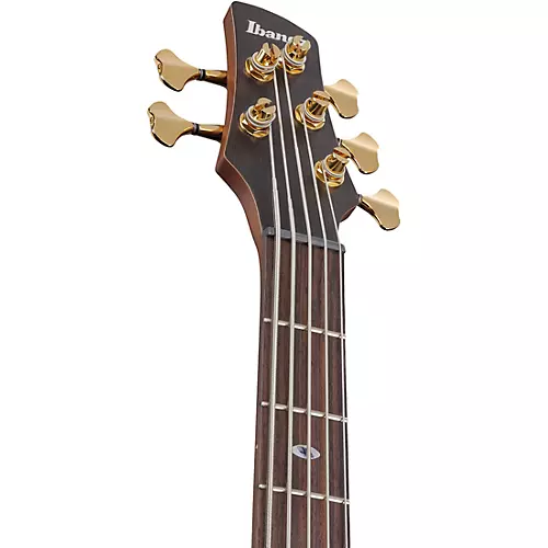 Ibanez Prestige SR6605 5-String Electric Bass Guitar Ghost Fleet Blue Burst - musicians--Friend