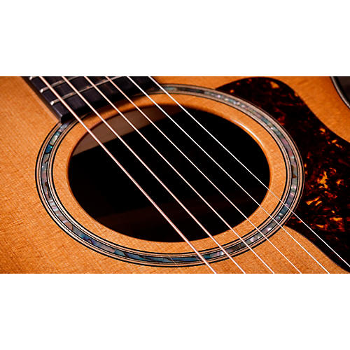 Taylor 512ce Grand Concert Acoustic-Electric Guitar Shaded Edge Burst - musicians--Friend