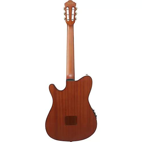 Ibanez FRH10N Nylon-String Acoustic-Electric Guitar Rose Gold Metallic Flat - musicians--Friend