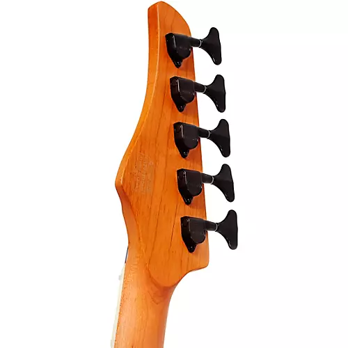 Schecter Guitar Research C-5 Standard 5-String Electric Bass Guitar Charcoal Satin - musicians--Friend