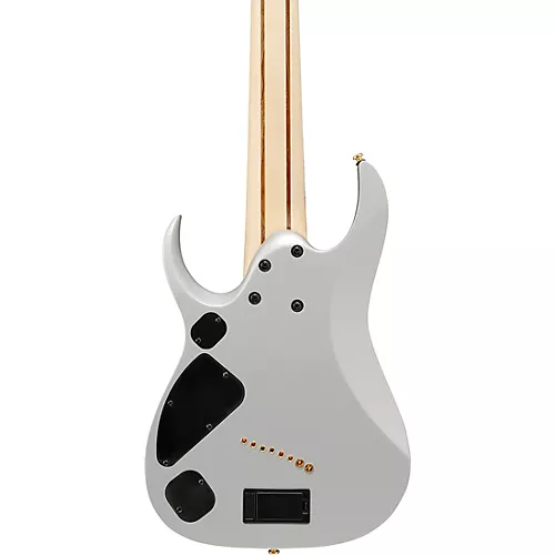 Ibanez RGDMS8 RGD Axe Design Lab Multi-Scale 8-String Electric Guitar Classic Silver Matte - musicians--Friend
