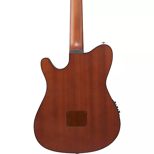 Ibanez FRH10N Nylon-String Acoustic-Electric Guitar Rose Gold Metallic Flat - musicians--Friend