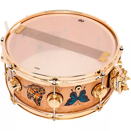 DW Sheila E. ICON Snare Drum 13 x 5.5 in. - musicians--Friend