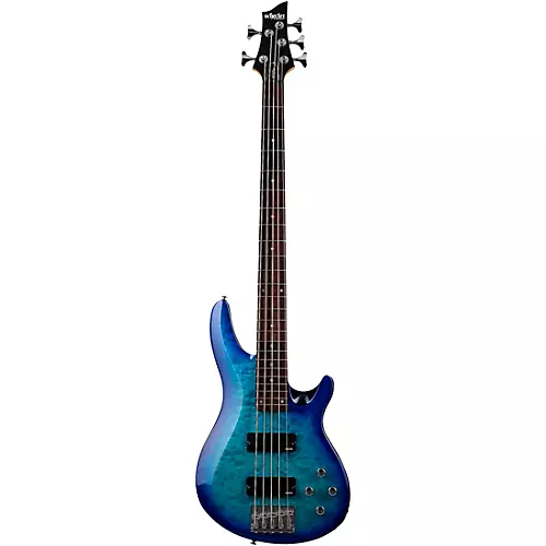 Schecter Guitar Research C-5 Plus Electric Bass See-Thru Cherry Burst - musicians--Friend