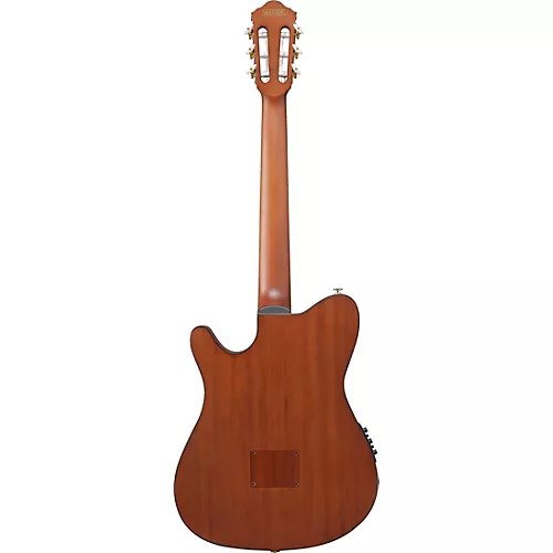 Ibanez FRH10N Nylon-String Acoustic-Electric Guitar Rose Gold Metallic Flat - musicians--Friend