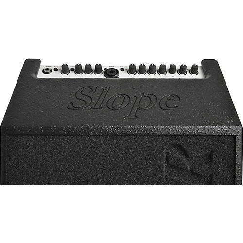 AER Compact 60/4 Slope 60W 1x8 Acoustic Guitar Combo Amp Black - musicians--Friend