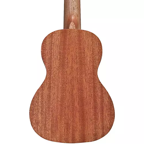 Alvarez RU22C Regent Series Concert Ukulele - musicians--Friend