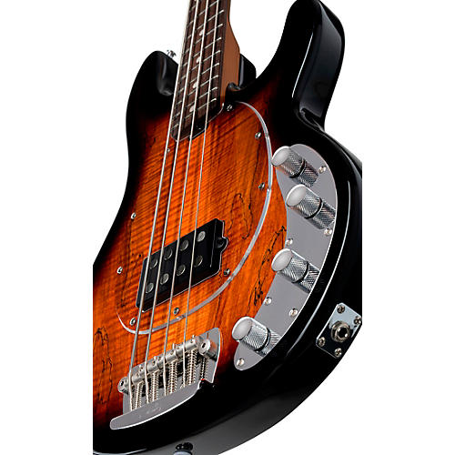 Sterling by Music Man StingRay RAY34 Spalted Maple Top Bass 3-Tone Sunburst - musicians--Friend
