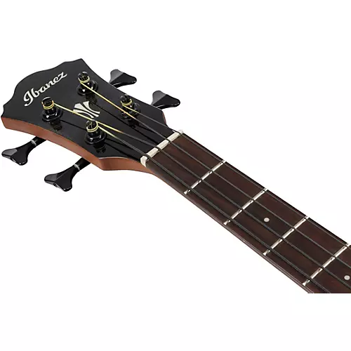 Ibanez AEGB25E Grand Concert Acoustic-Electric Bass Guitar Transparent Black Sunburst - musicians--Friend