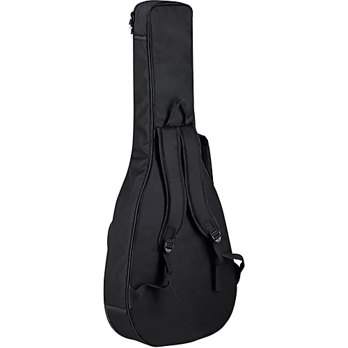 Ortega Family Series Pro RCE145BK Thinline Acoustic-Electric Nylon Guitar Gloss Black - musicians--Friend