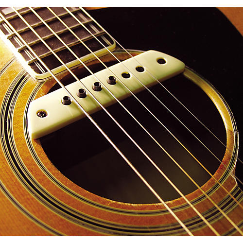 LR Baggs M1 Soundhole Pickup - musicians--Friend
