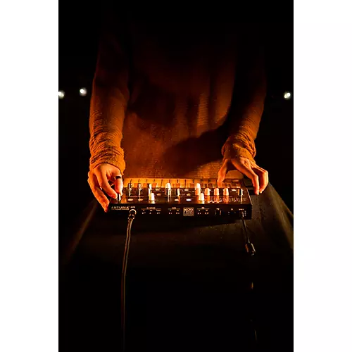 Arturia MicroFreak Hybrid Synthesizer - musicians--Friend