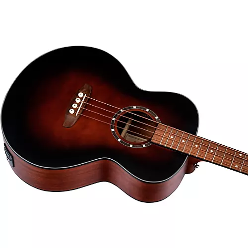 Ortega D7E 4-String Acoustic/Electric Bass Guitar Satin Black - musicians--Friend