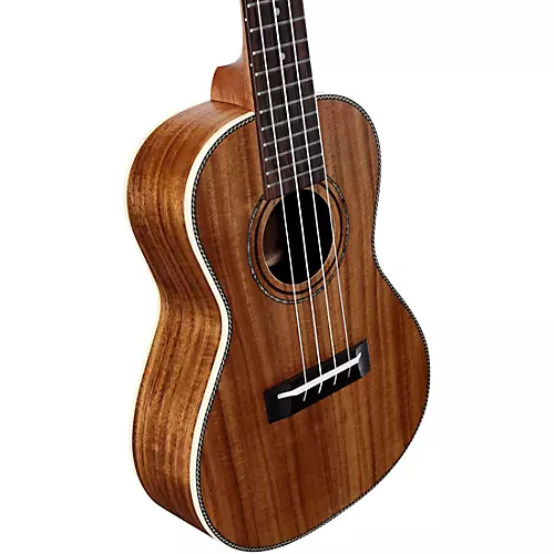 Alvarez RU90CP Regent Concert Ukulele Pack Natural - musicians--Friend