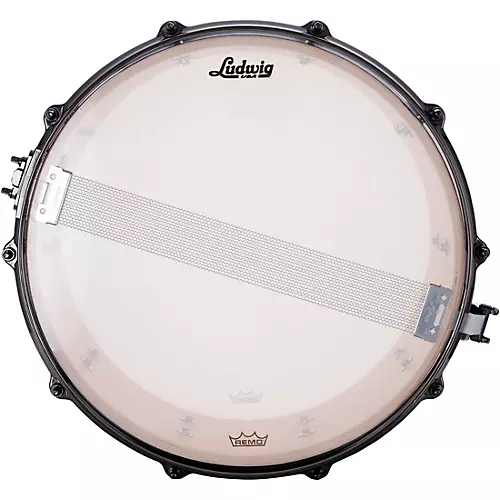 Ludwig Exotic Select Snare Drum with Black Nickel Hardware 14 x 6.5 in. Black Gold Burst - musicians--Friend