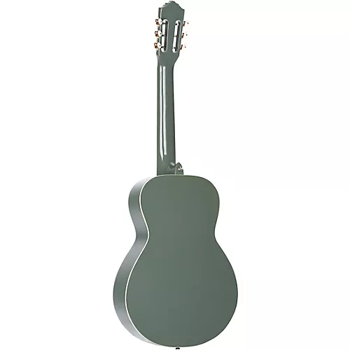 Ortega Gaucho Parlor Classical Guitar Orange - musicians--Friend