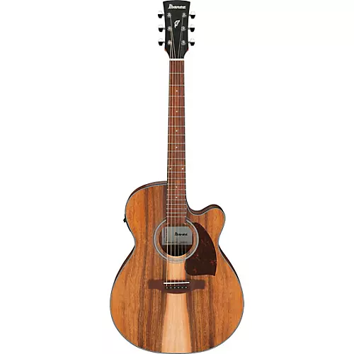 Ibanez PC50WSCE Grand Concert Acoustic-Electric Guitar Brown - musicians--Friend