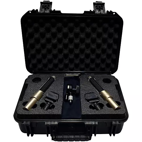 AEA Microphones N22 Stereo Microphone Kit - musicians--Friend