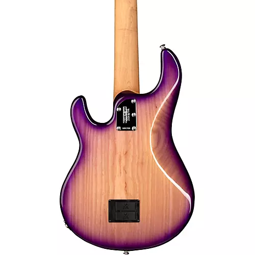 Ernie Ball Music Man StingRay5 Special H 5-String Electric Bass Guitar Black and Chrome - musicians--Friend