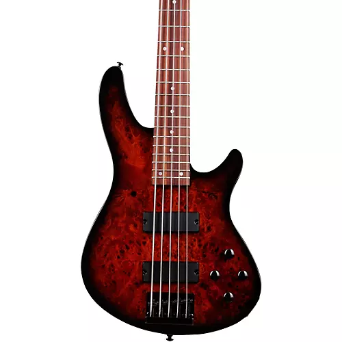 Schecter Guitar Research C-5 Standard 5-String Electric Bass Guitar Tobacco Burl - musicians--Friend