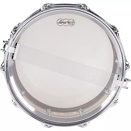 Ludwig Supraphonic Snare Drum Chrome 14 x 5 in. - musicians--Friend