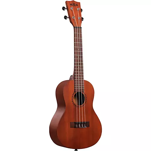 Kala Learn To Play Concert Ukulele Starter Kit - musicians--Friend