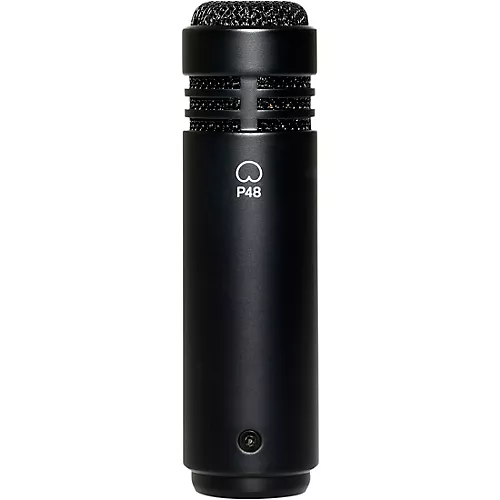 LEWITT LCT 040 MATCH Matched Stereo Pair - musicians--Friend