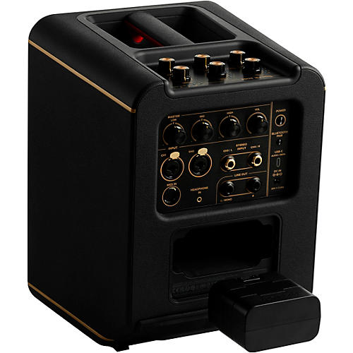 Positive Grid Spark EDGE Portable 4-Channel Smart Amp & PA Black - musicians--Friend