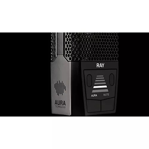 LEWITT RAY Large-Diaphragm Condenser Microphone Black - musicians--Friend