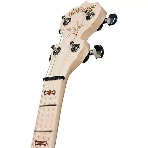 Deering Goodtime Nickel Banjo - musicians--Friend