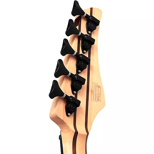 Schecter Guitar Research Reaper-5 Electric Bass Natural Satin - musicians--Friend