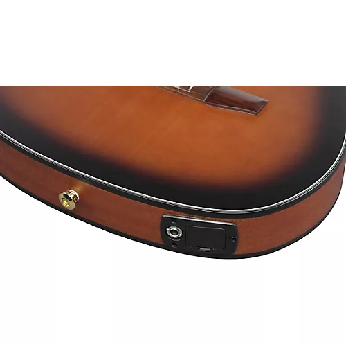 Ibanez FRH10N Nylon-String Acoustic-Electric Guitar Rose Gold Metallic Flat - musicians--Friend