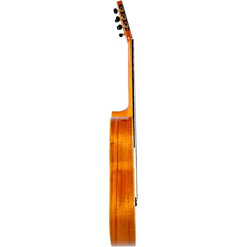 Kremona Rosa Artista Flamenco Acoustic Guitar Natural - musicians--Friend