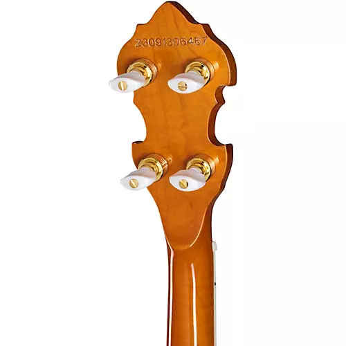 Epiphone Earl Scruggs Signature Golden Deluxe Resonator Banjo Natural - musicians--Friend