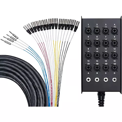 Livewire Advantage 16x4 Snake with XLR/TRS inputs and TRS Returns 50 ft. Black - musicians--Friend