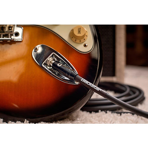 Blackstar Professional Straight to Angle Cable 10 ft. Black - musicians--Friend