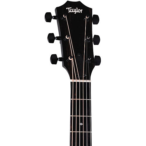 Taylor 214ce Special-Edition Grand Auditorium Acoustic-Electric Guitar Trans Grey - musicians--Friend
