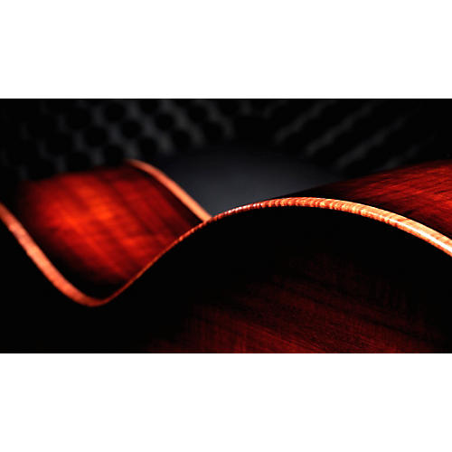 Taylor Custom All Tasmanian Blackwood 8-String Baritone Grand Auditorium Acoustic-Electric Guitar Shaded Edge Burst - musicians--Friend