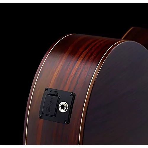 Ortega Family Series RCE125SN Thinline Acoustic-Electric Classical Guitar Satin Natural - musicians--Friend