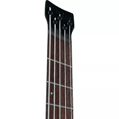 Ibanez EHB1505SMS 5-String Multi-Scale Ergonomic Headless Bass Guitar Florid Natural Low Gloss - musicians--Friend