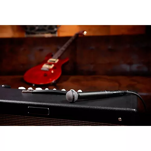 beyerdynamic M 160 Dynamic Double-Ribbon Microphone (Hypercardioid) - musicians--Friend