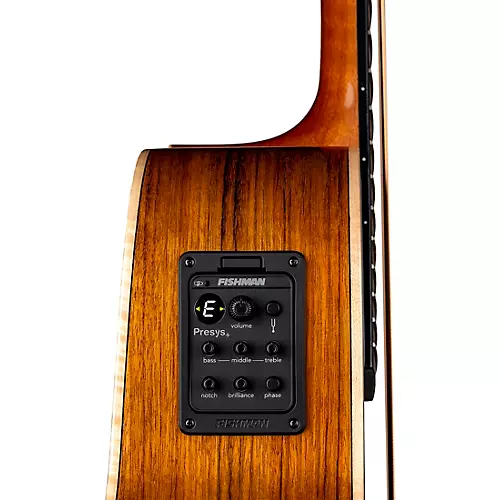 Luna Vista Bear Tropical Wood Acoustic-Electric Bass Gloss Natural - musicians--Friend