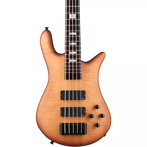 Spector Euro 5 LX 5 String Neck Through Electric Bass Black Stain Matte - musicians--Friend