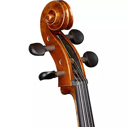 Ren Wei Shi Academy Series Cello Outfit 1/4 - musicians--Friend