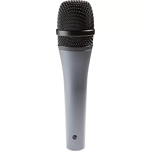 Sennheiser e 845 Pro Performance Vocal Microphone - musicians--Friend