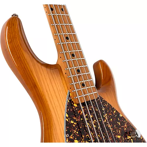 Ernie Ball Music Man StingRay5 Special H 5-String Electric Bass Guitar Black and Chrome - musicians--Friend