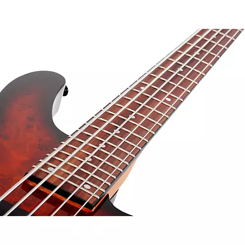 Schecter Guitar Research C-5 Standard 5-String Electric Bass Guitar Tobacco Burl - musicians--Friend