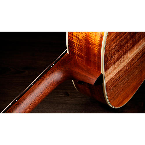 Taylor Gold Label Series 814e-K Super Auditorium Acoustic-Electric Guitar Golden Brown Sunburst - musicians--Friend