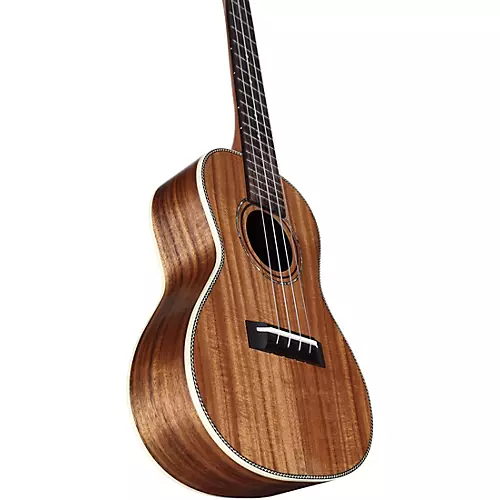 Alvarez RU90CP Regent Concert Ukulele Pack Natural - musicians--Friend